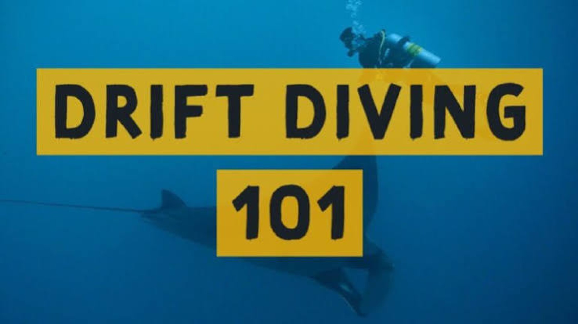 Beginner Guide to Drift Diving