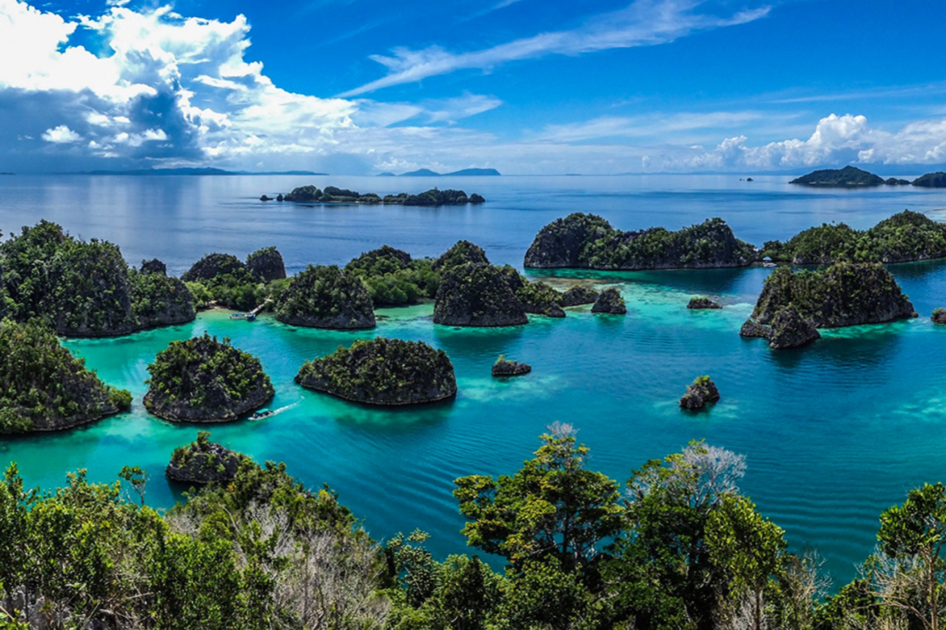 Best Time to Dive in Raja Ampat