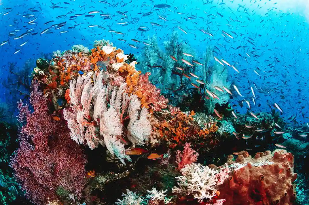 Dive spot gallery image