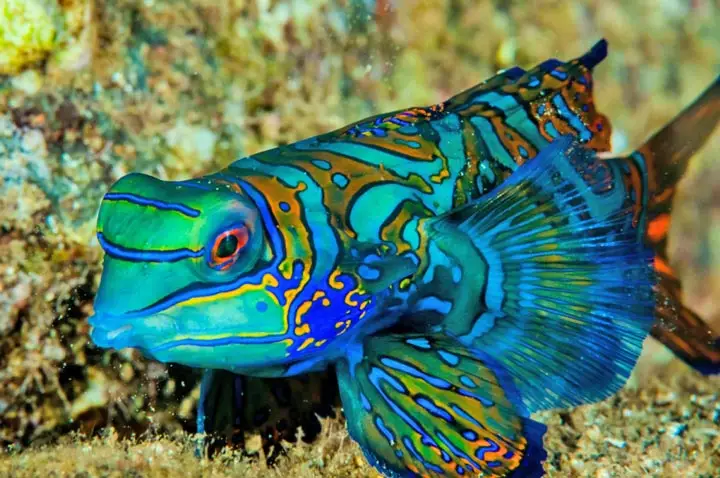 Dive spot gallery image